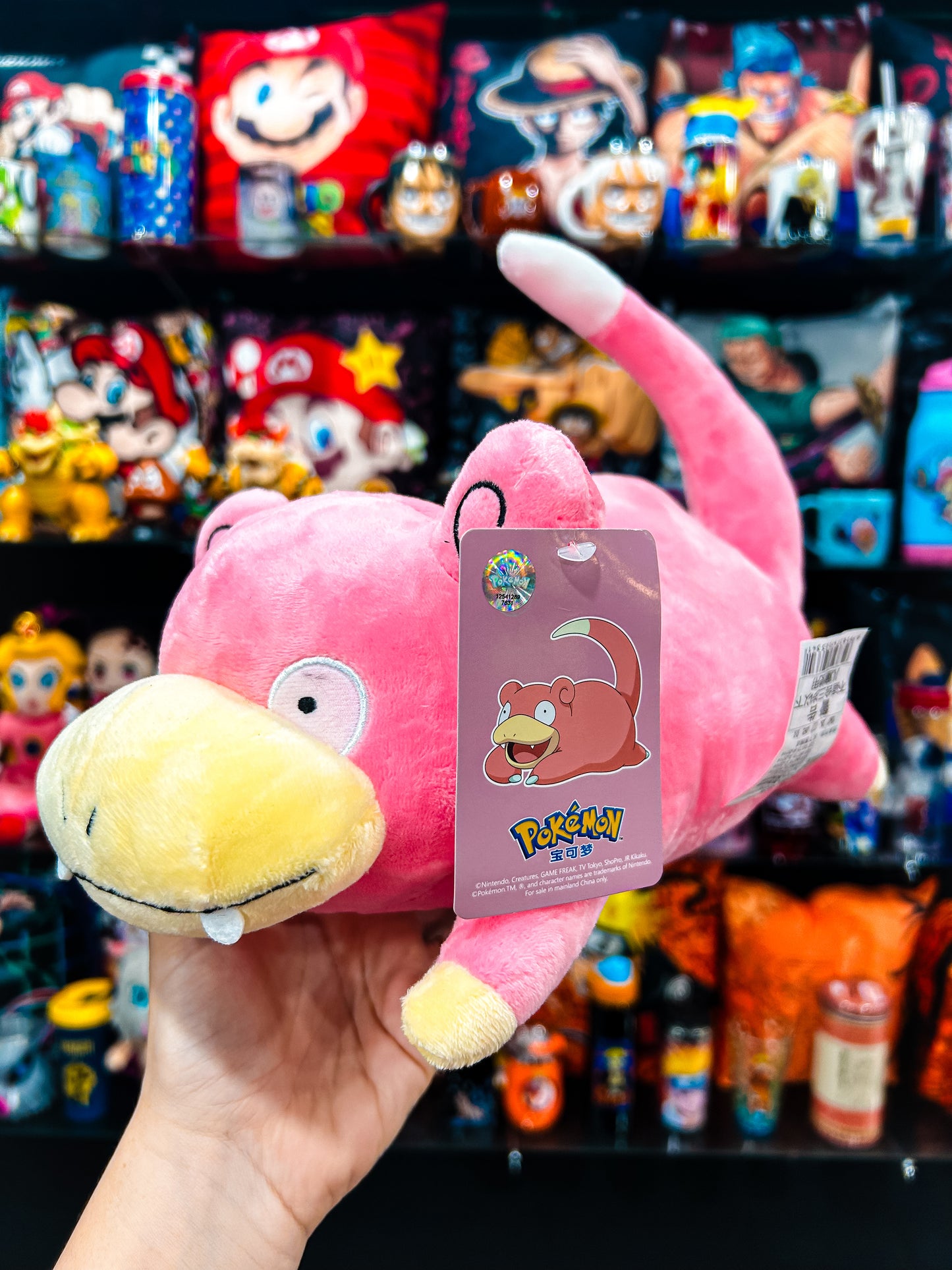 Pelúcia Pokémon