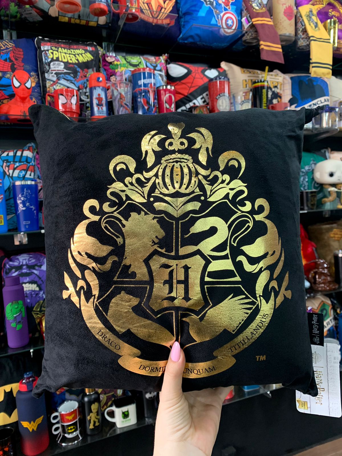 Almofada Hogwarts