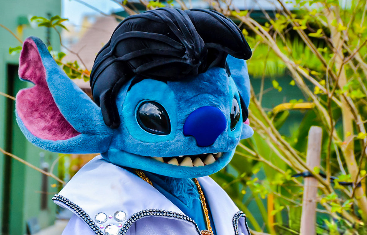 Stitch