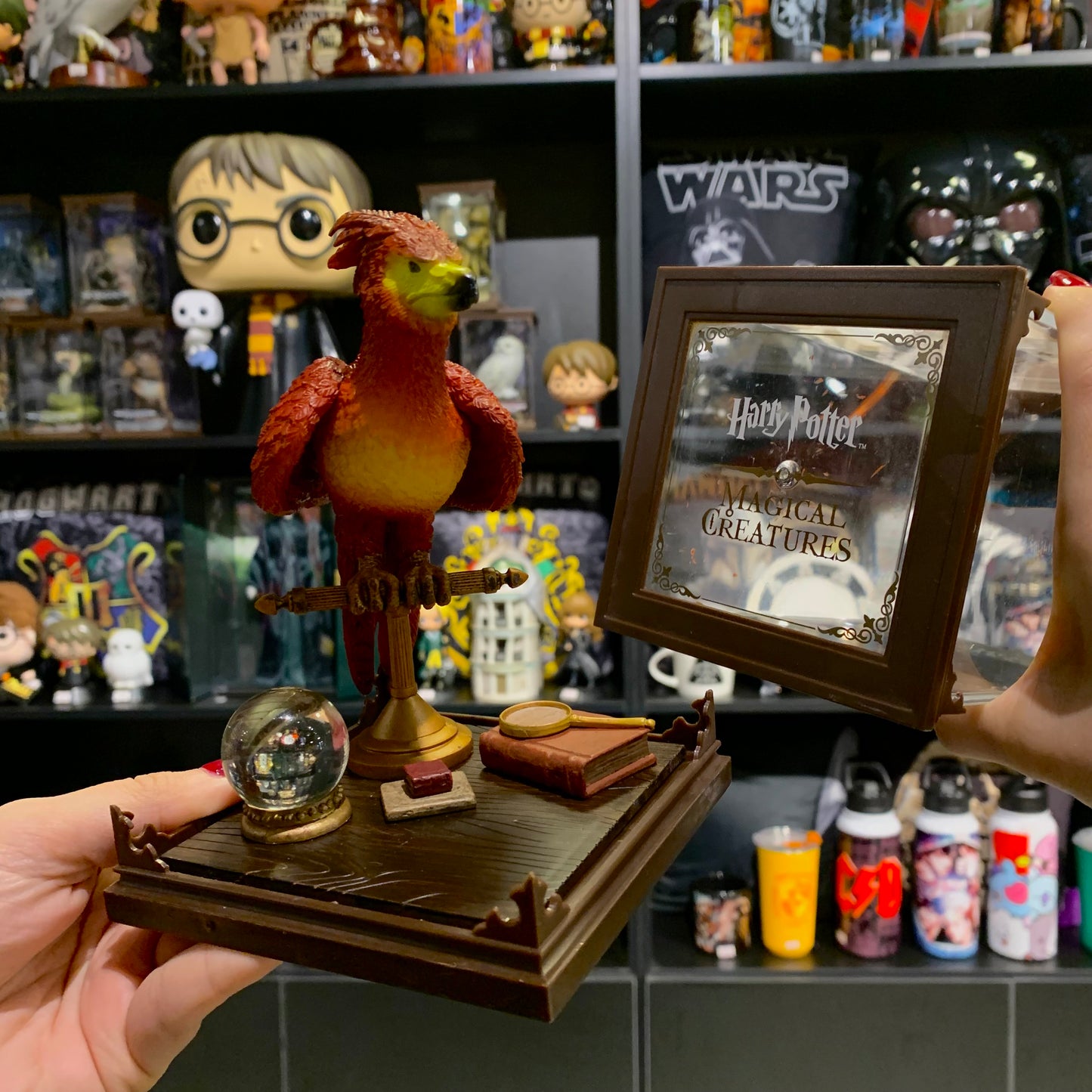 Fênix Harry Potter criatura