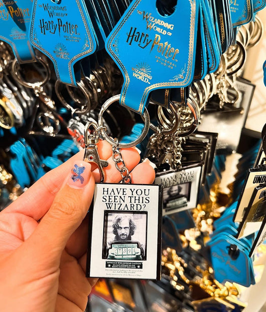 Chaveiro Harry Potter Universal Studios
