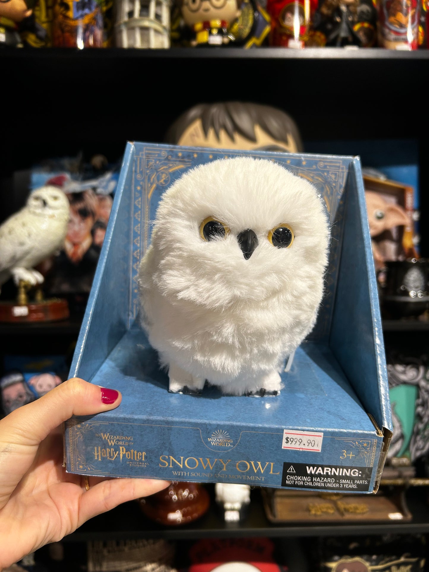 Coruja Harry Potter universal Studios