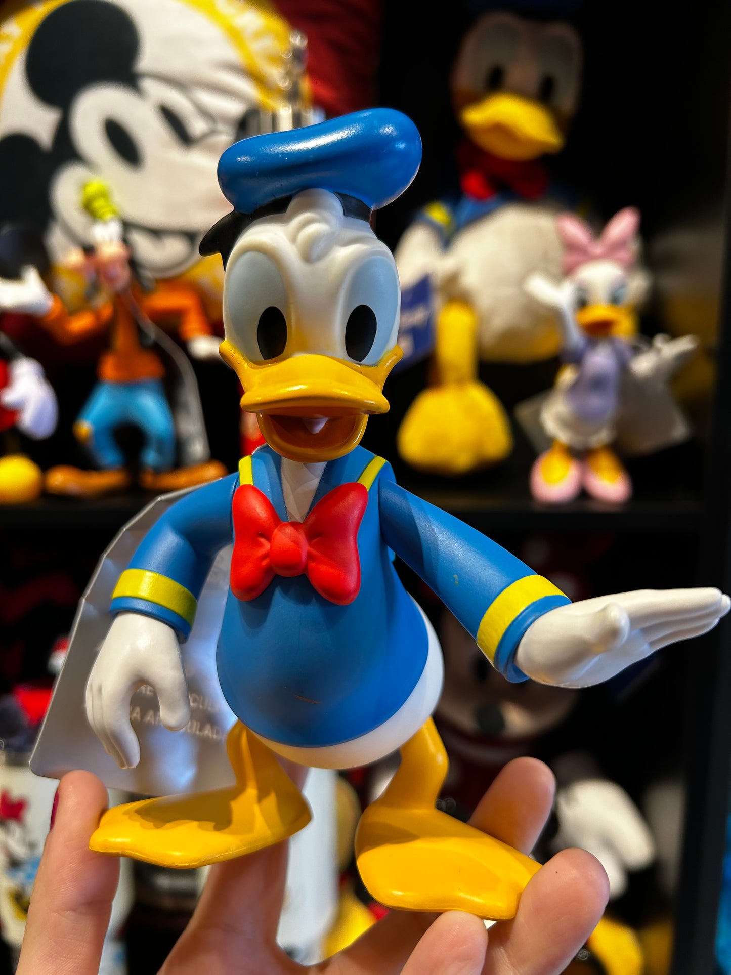 Vinil Donald
