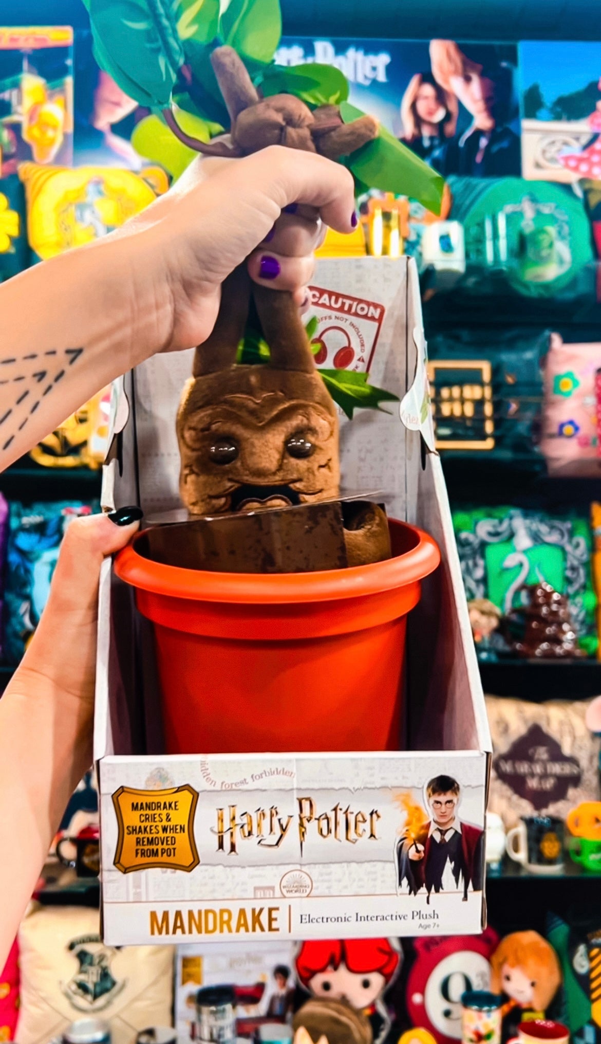 Mandrágora Harry Potter