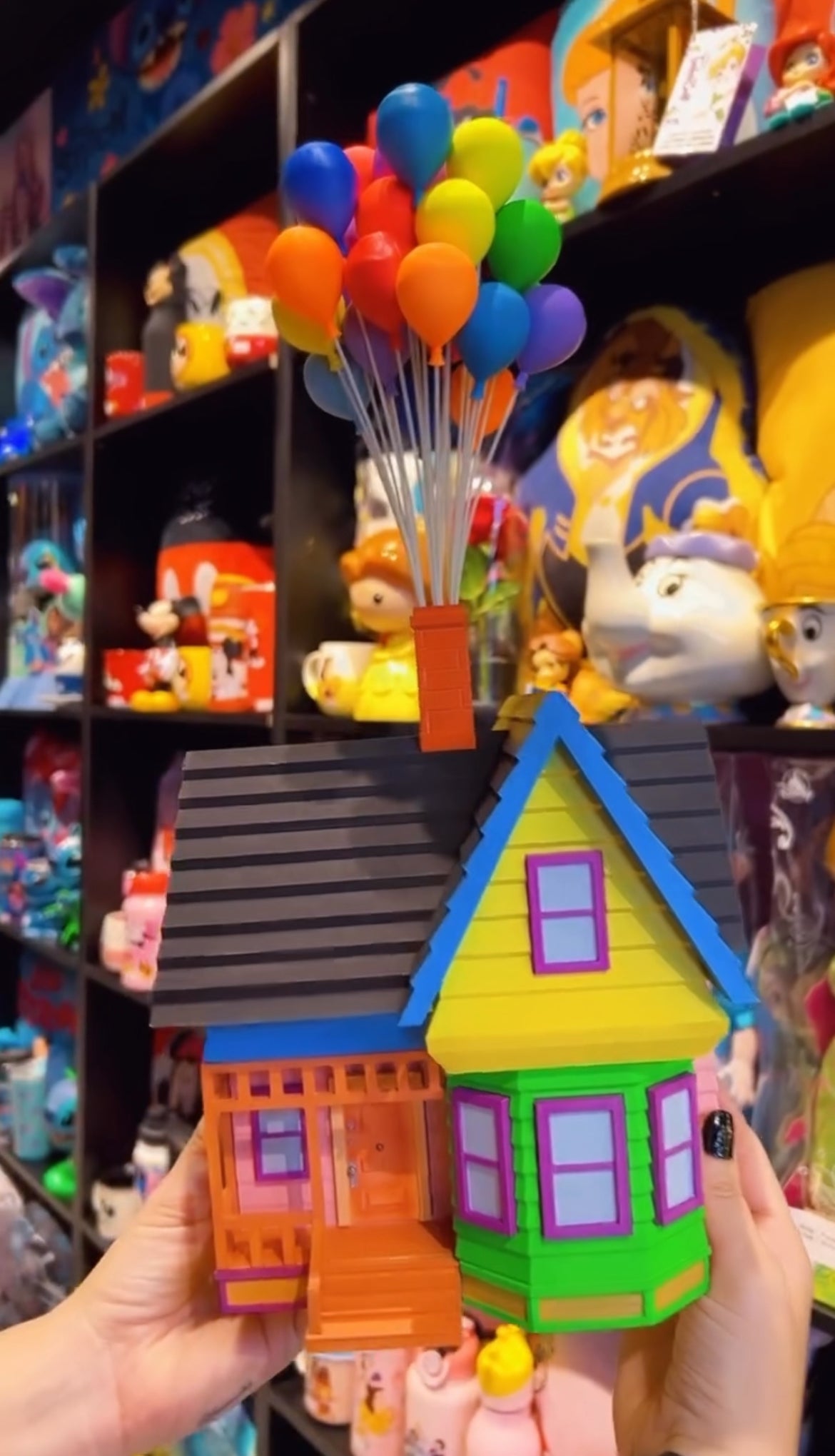 Casa do Up altas aventuras