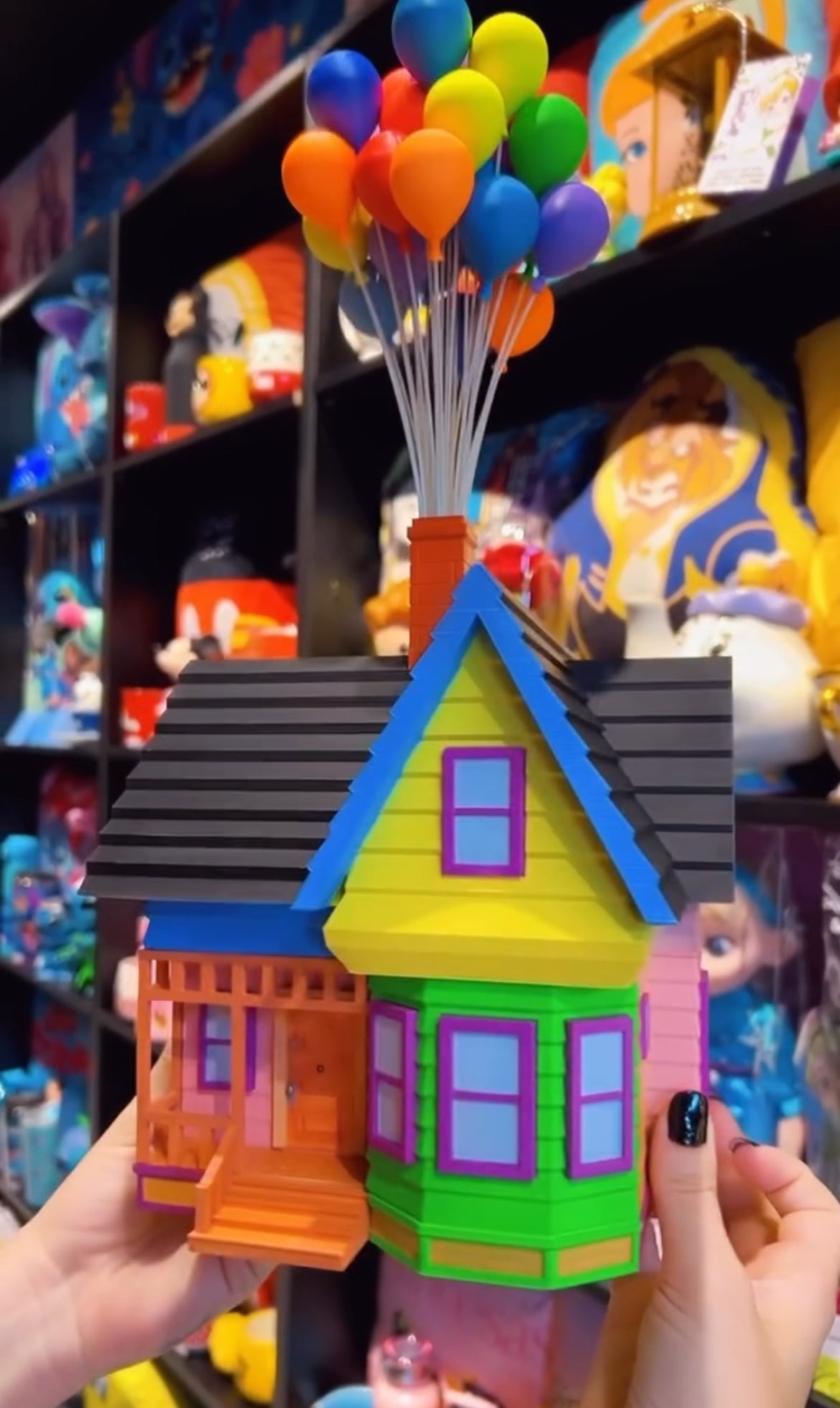 Casa do Up altas aventuras
