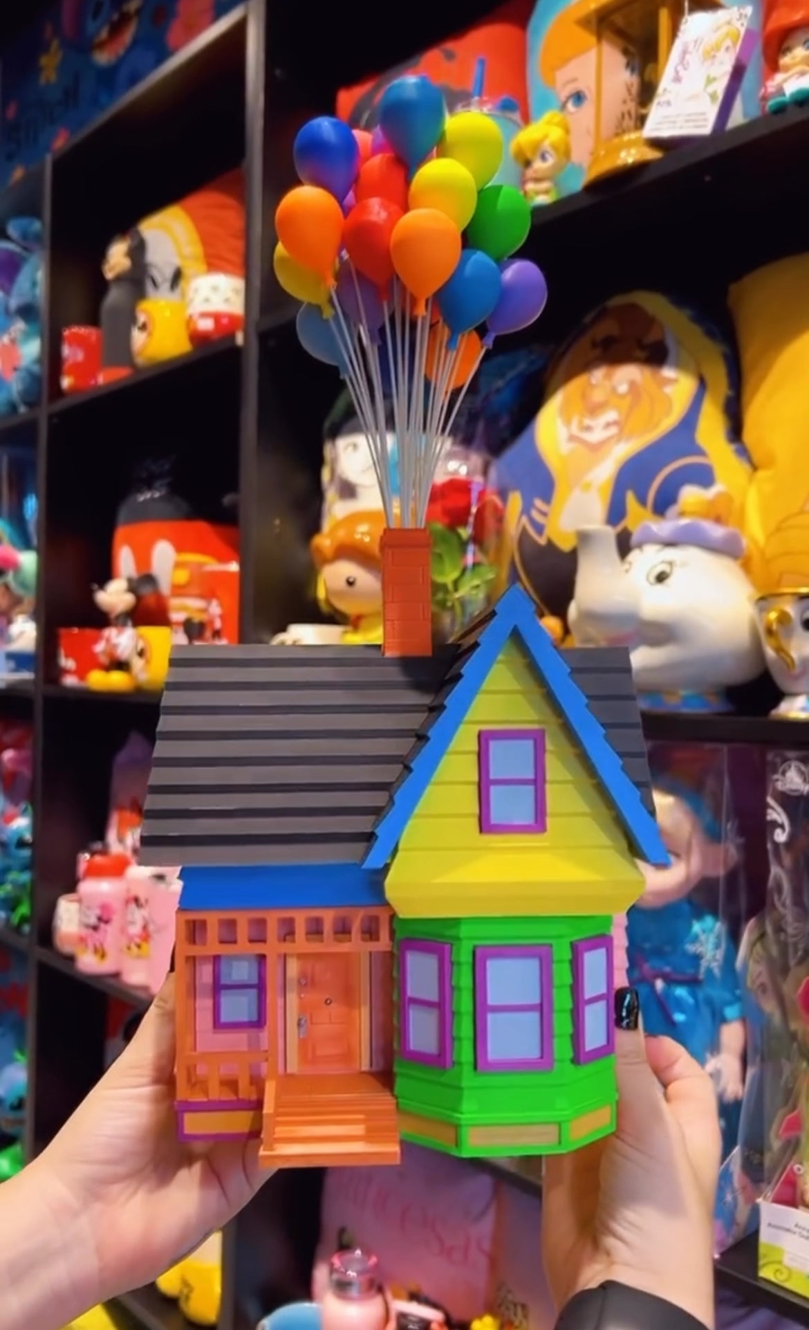 Casa do Up altas aventuras