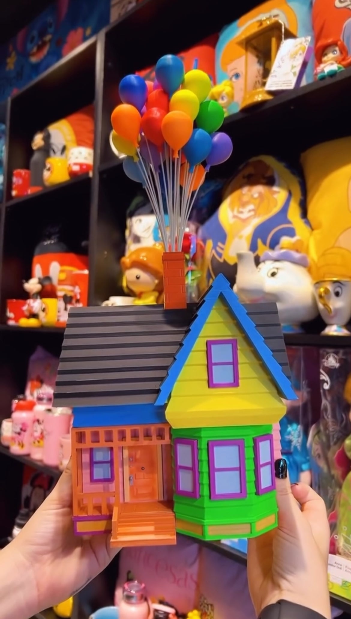 Casa do Up altas aventuras