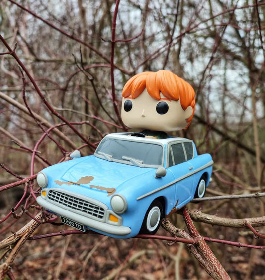 Funko ronny carro